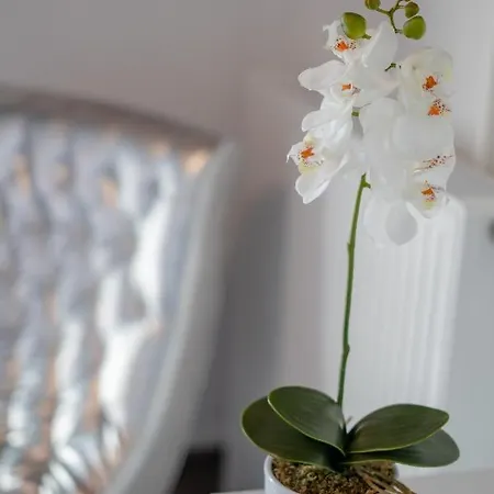 Rooms21 Lejlighed Schiefling am See