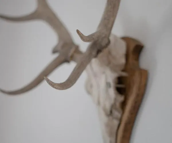 Apartamento Rooms21 *