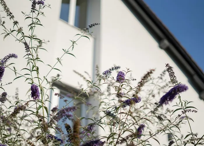 Apartamento Rooms21 Schiefling am See