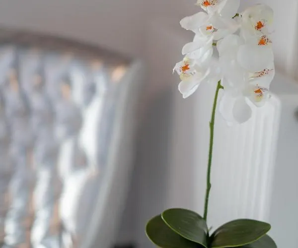 Rooms21 Apartamento Schiefling am See